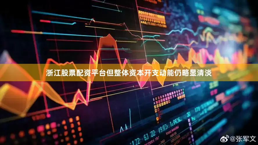 浙江股票配资平台但整体资本开支动能仍略显清淡